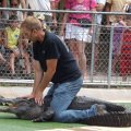 July 18, 2013 - Reptile Gardens - Alligator & Crocodile Show (16)
