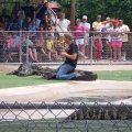July 18, 2013 - Reptile Gardens - Alligator & Crocodile Show (4)