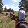 July 20, 2013 - Rockin R Trailrides - horseback riding (14)
