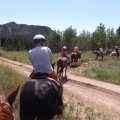July 20, 2013 - Rockin R Trailrides - horseback riding (16)