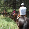 July 20, 2013 - Rockin R Trailrides - horseback riding (23)