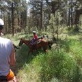 July 20, 2013 - Rockin R Trailrides - horseback riding (27)