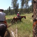 July 20, 2013 - Rockin R Trailrides - horseback riding (37)