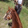 July 20, 2013 - Rockin R Trailrides - horseback riding (44)