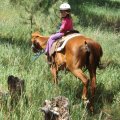 July 20, 2013 - Rockin R Trailrides - horseback riding (46)