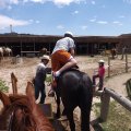 July 20, 2013 - Rockin R Trailrides - horseback riding (61)