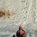 Jan 12, 2014 - Sledding (14)