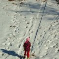 Jan 12, 2014 - Sledding (1)