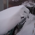 Snow Storm, March, 2009 (3)