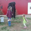 Oct 29, 2011 - Miniature Horse Rescue Halloween Party (67)