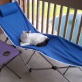 Princess Laying On Patio Furniture 2