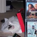 Princess Sleeping By Movies