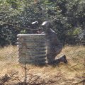 August 16, 2012 - Paintball (55)