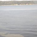 August 16, 2012 - Puget Sound (10)