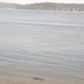 August 16, 2012 - Puget Sound (15)
