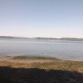 August 16, 2012 - Puget Sound (19)