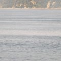 August 16, 2012 - Puget Sound (22)