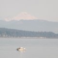 August 16, 2012 - Puget Sound (6)