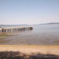 August 16, 2012 - Puget Sound (8)