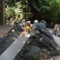 August 17, 2012 - Woodland Park Zoo (48)
