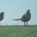 July 17, 2013 - Driving to SD - Enchanted Highway (4)