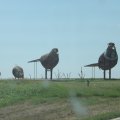 July 17, 2013 - Driving to SD - Enchanted Highway (5)