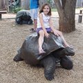 July 18, 2013 - Reptile Gardens (25)