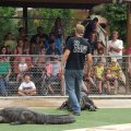 July 18, 2013 - Reptile Gardens - Alligator & Crocodile Show (13)