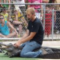 July 18, 2013 - Reptile Gardens - Alligator & Crocodile Show (18)