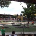 July 18, 2013 - Reptile Gardens - Alligator & Crocodile Show (28)