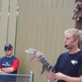 July 18, 2013 - Reptile Gardens - Alligator & Crocodile Show (31)