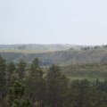 July 19, 2013 - Black Hills (2)
