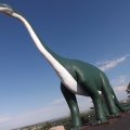 July 20, 2013 - Dinosaur Park (3)