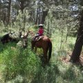 July 20, 2013 - Rockin R Trailrides - horseback riding (26)