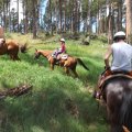 July 20, 2013 - Rockin R Trailrides - horseback riding (36)