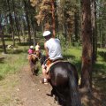 July 20, 2013 - Rockin R Trailrides - horseback riding (39)