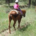 July 20, 2013 - Rockin R Trailrides - horseback riding (48)