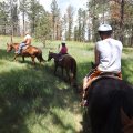 July 20, 2013 - Rockin R Trailrides - horseback riding (52)