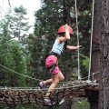 Aug 5, 2014 - Tree Top Adventures (12)