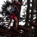 Aug 5, 2014 - Tree Top Adventures (32)