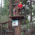 Aug 5, 2014 - Tree Top Adventures (38)