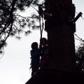 Aug 5, 2014 - Tree Top Adventures (40)