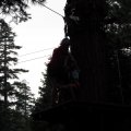 Aug 5, 2014 - Tree Top Adventures (41)