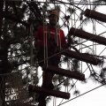 Aug 5, 2014 - Tree Top Adventures (54)