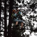 Aug 5, 2014 - Tree Top Adventures (55)