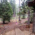 Aug 5, 2014 - Tree Top Adventures (70)