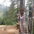 Aug 5, 2014 - Tree Top Adventures (71)