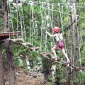 Aug 5, 2014 - Tree Top Adventures (8)