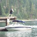 Aug 7, 2014 - Emerald Bay - Dock Jumping - RJ (9)