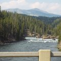 Aug 9, 2014 - Yellowstone (23)